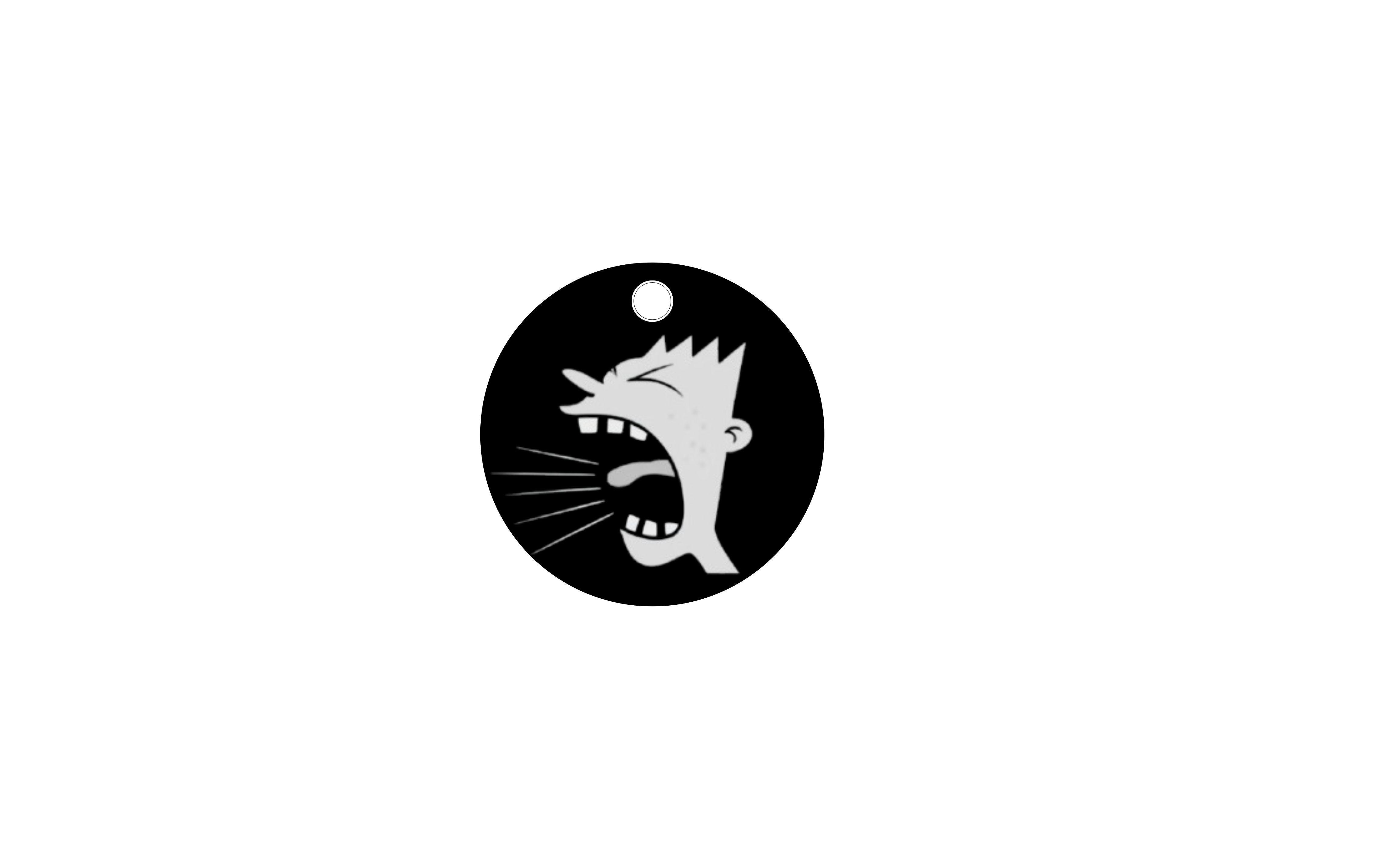 Pin